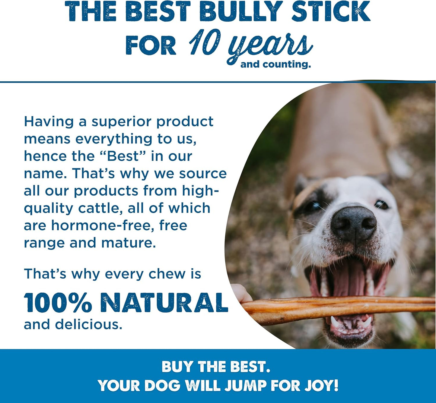 Best Bully Sticks 6 Inch Bully Sticks for Dogs - 15 Count (Pack of 1) - Natural, Easily Digestible, 100% Grass-Fed Beef, Grain and Rawhide Free