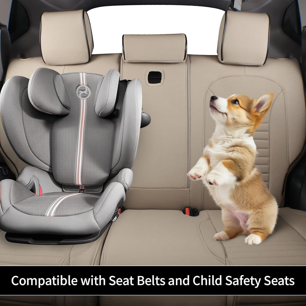 EKR Accord Car Seat Covers for Cars Honda Accord EX,EX-L,Sport,Sport SE,Touring 2017,Rear Row W/Split,Car Seat Covers Full Set,Leather Seat Covers Front Seats & Back-Leather(Beige)